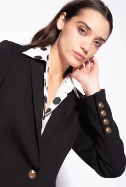 Tailleurs Et Ensembles|PINKO Blazer Droit Noir Limousine