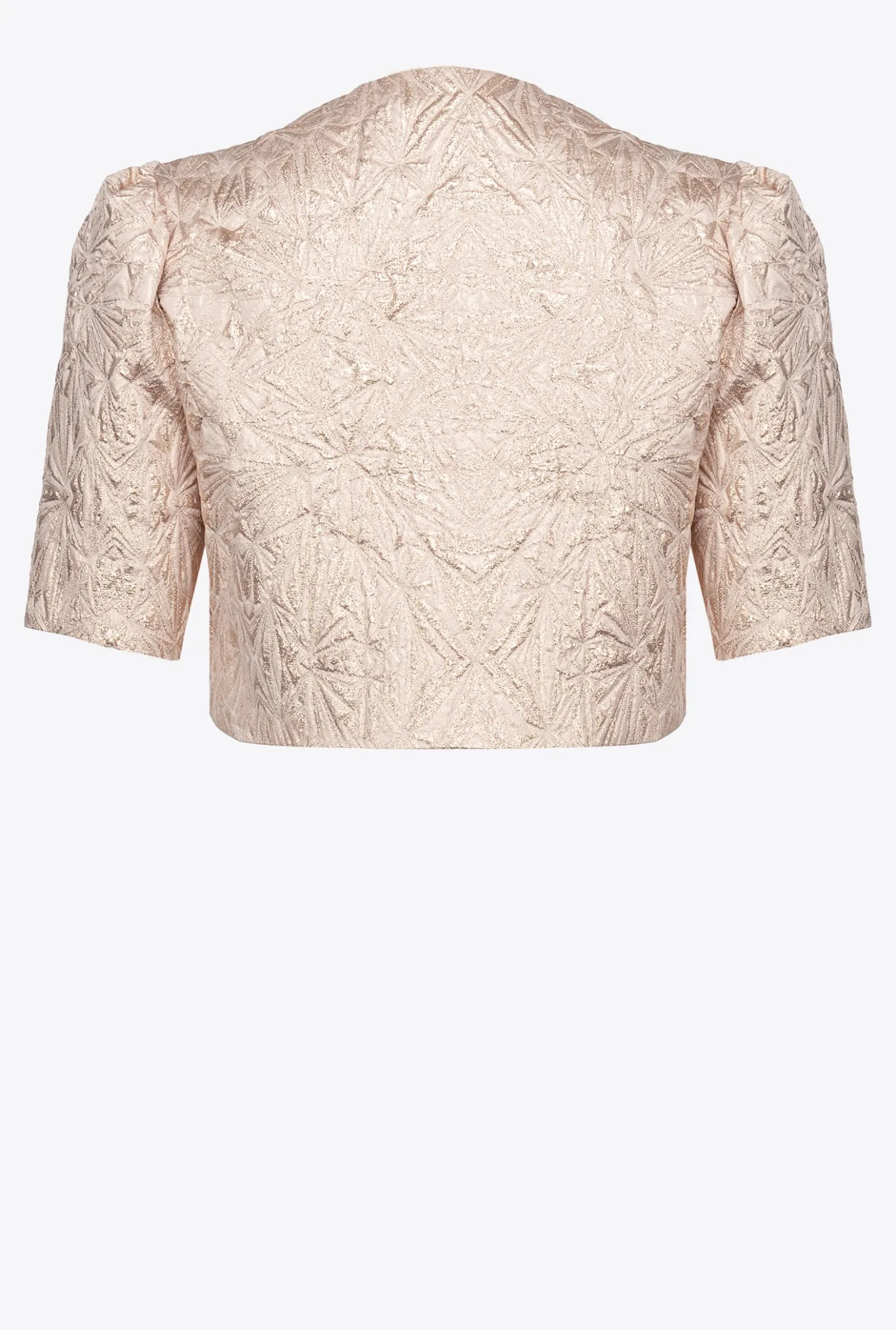 Vestes|PINKO Cache-Epaules En Jacquard Lame Beige Brun Fauve